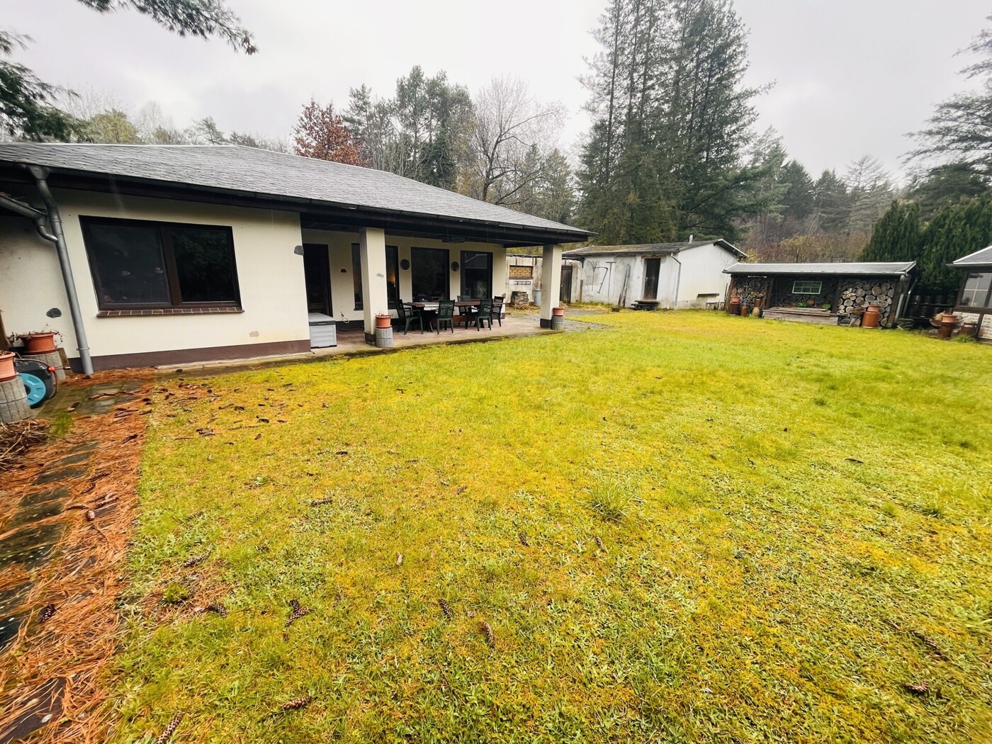 Blick in Richtung Bungalow