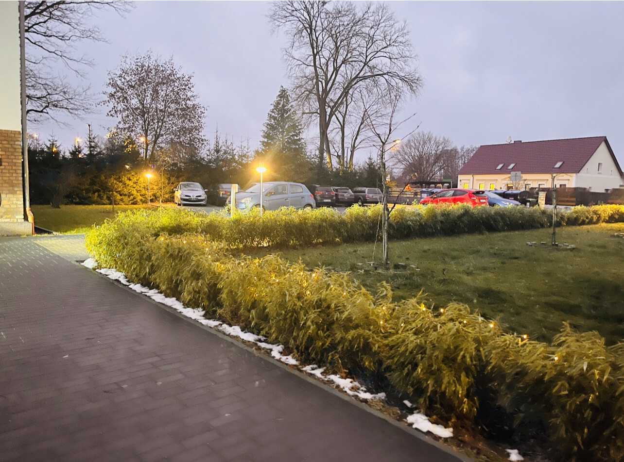 Blick in Richtung Gartenbereich / Stellplätze