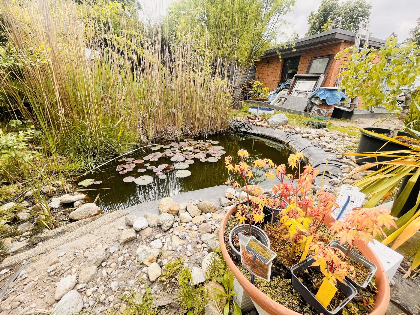 Grundstück - Teich