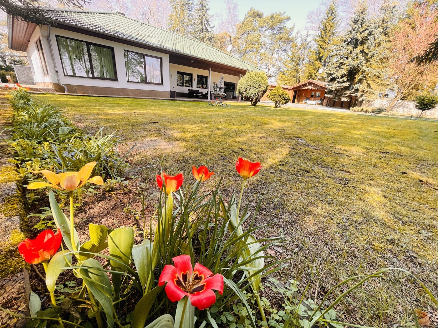 Blick in Richtung Bungalow
