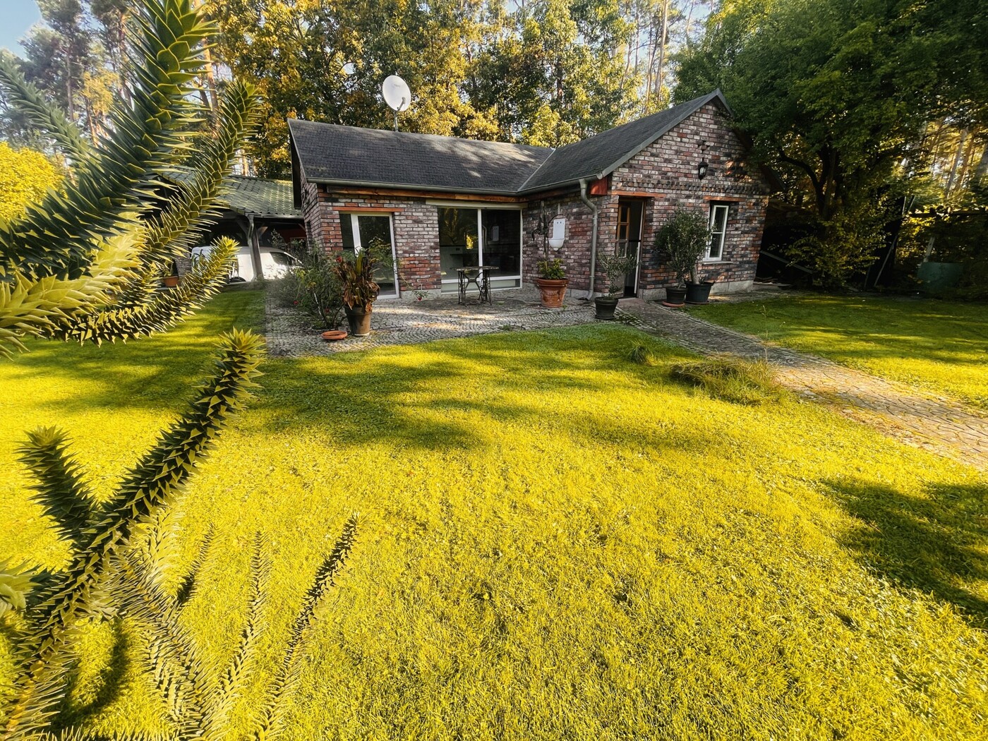Gästehaus - in Blick in Richtung Terrasse