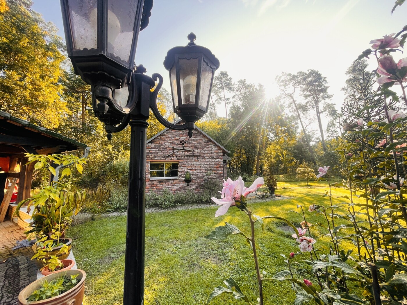 Gartenbereich - sehr gepflegt