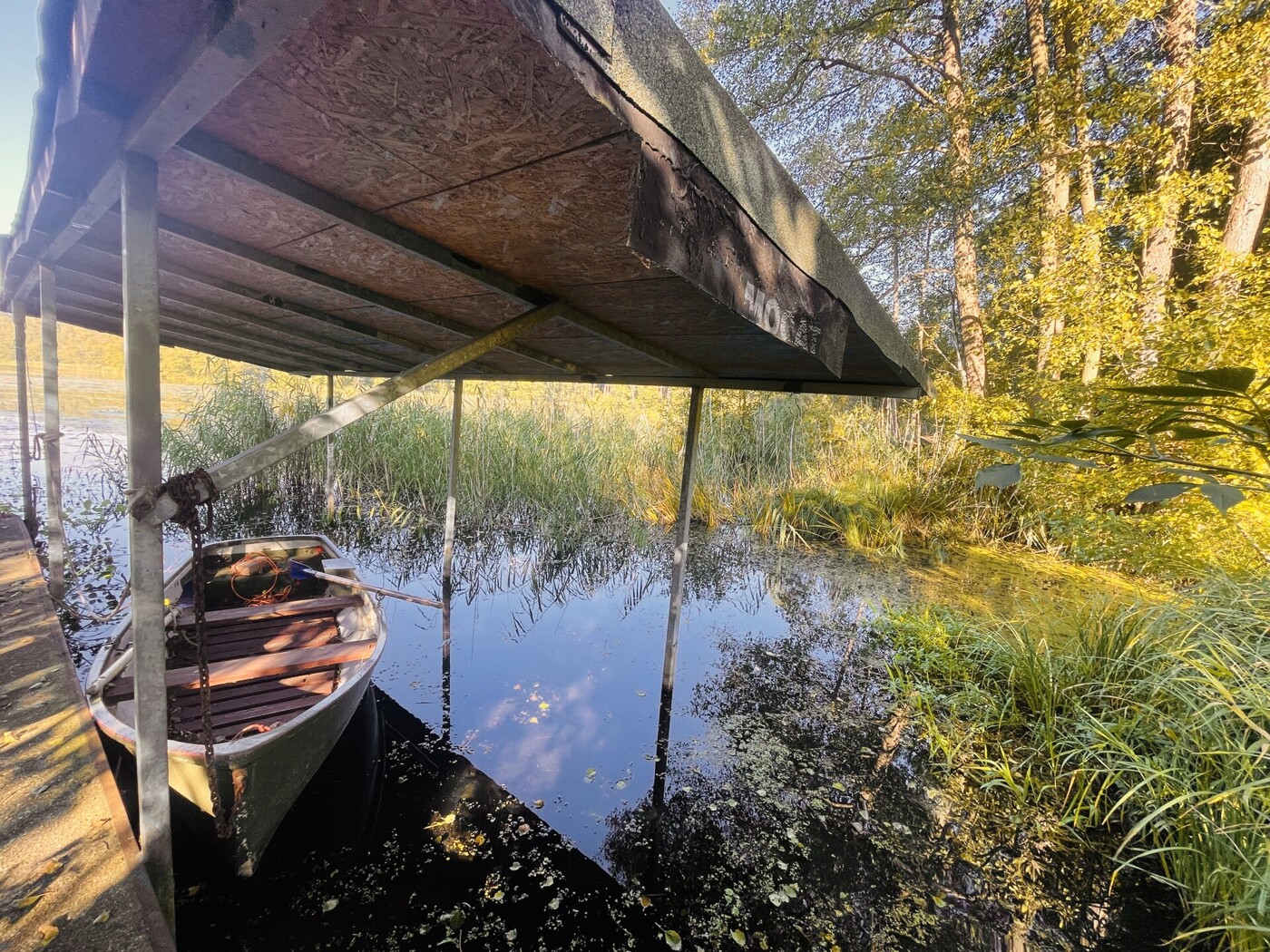 in direkter Nähe - Stegbereich (Boot)