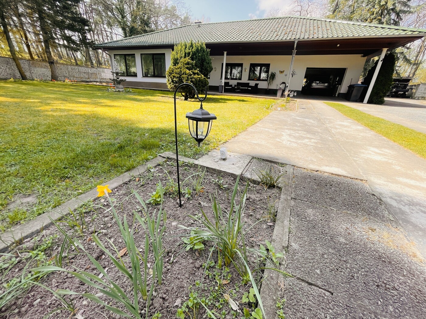 Blick in Richtung Bungalow