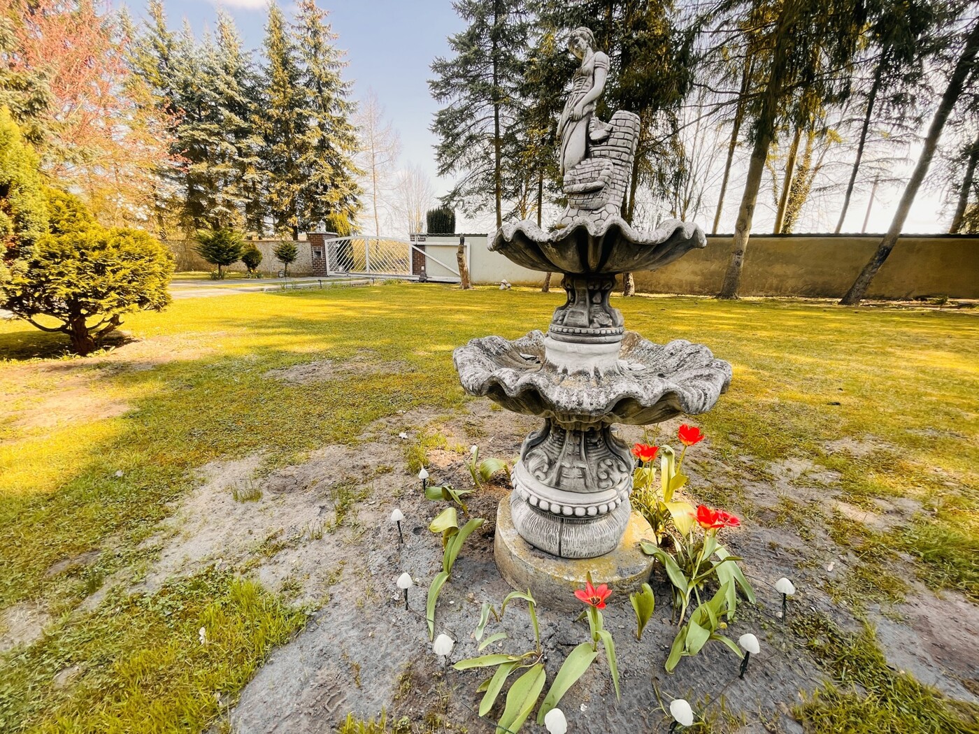 Blick in Richtung Gartenbereich