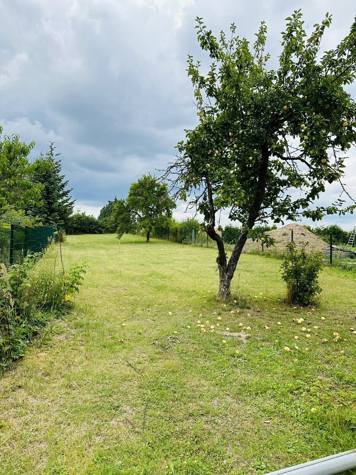 Blick in Richtung - Gartenbereich