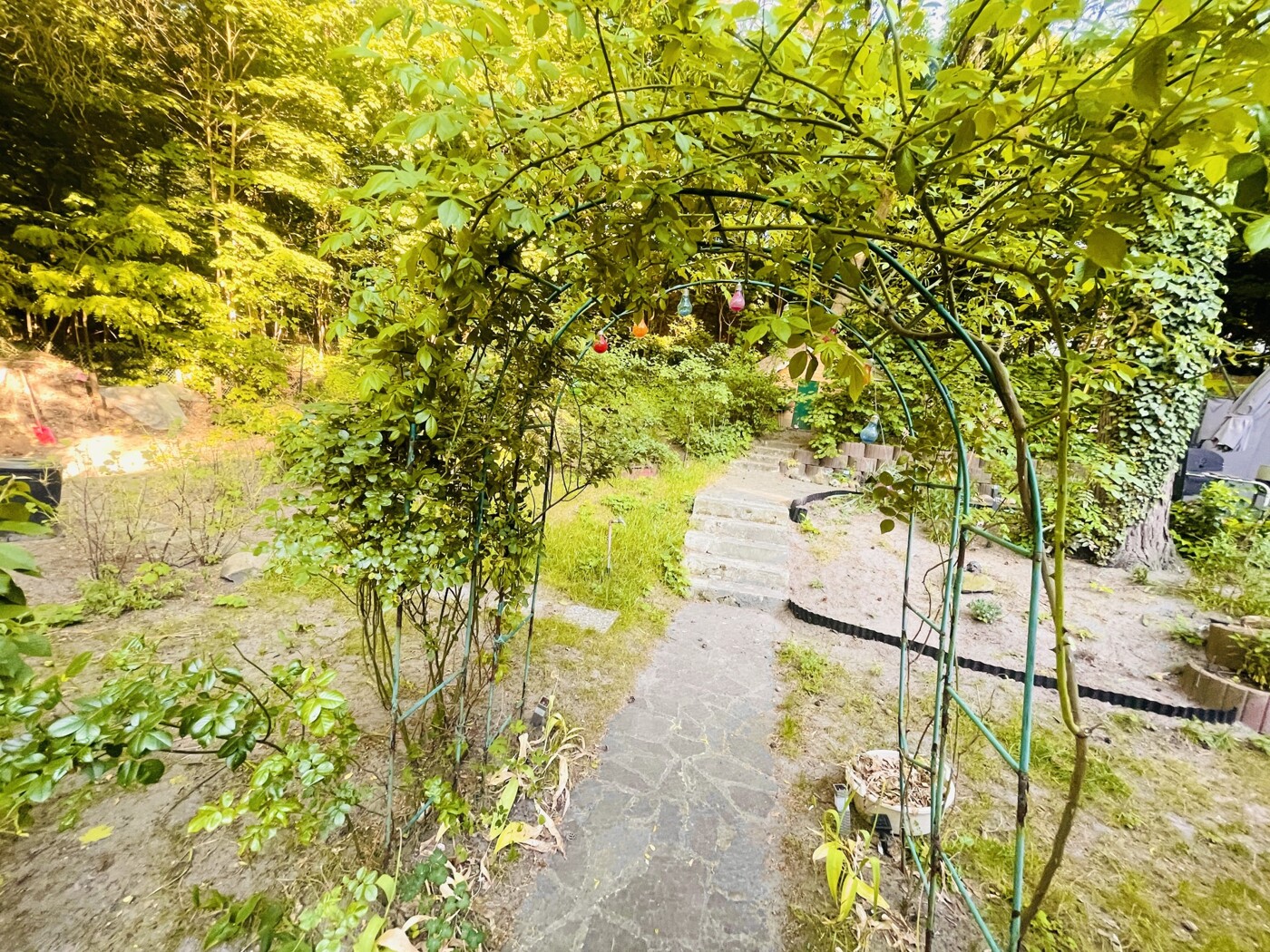 Blickrichtung: Rückseite des Grundstücks