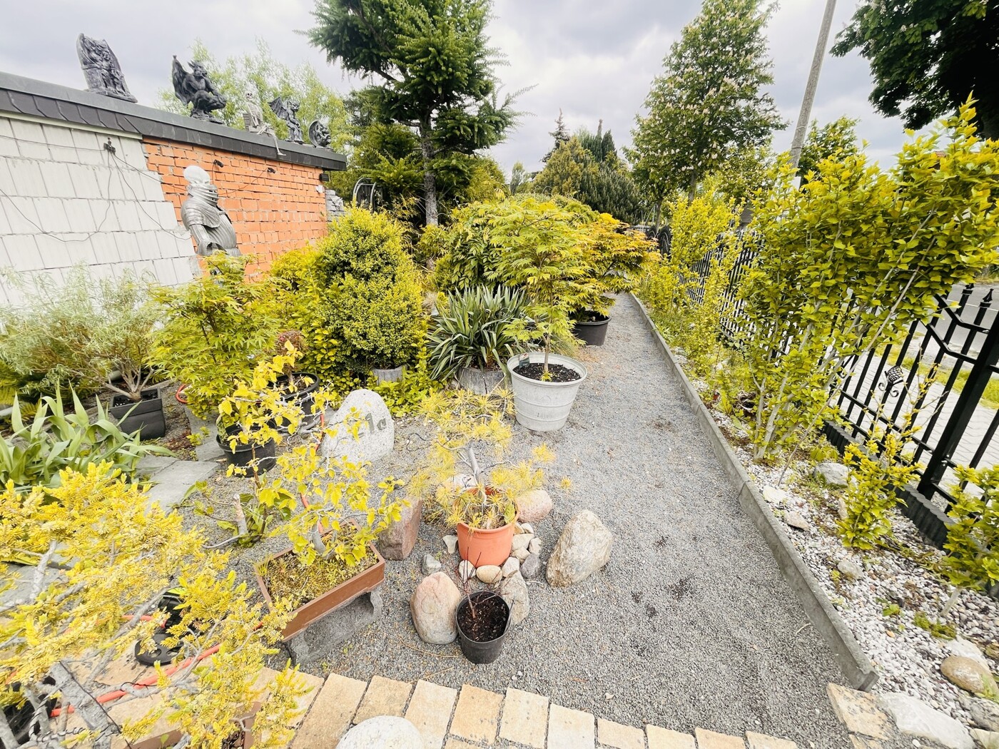 Blick in Richtung - Außenfläche - Gartenbereich