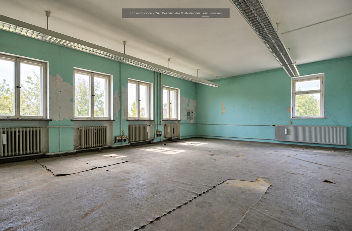 Bild 14.10.26 um 19.27 (4)