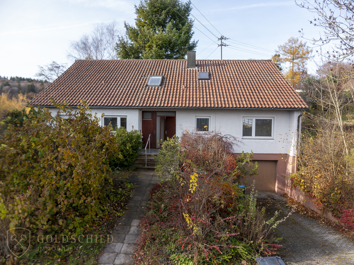 Drohne_1