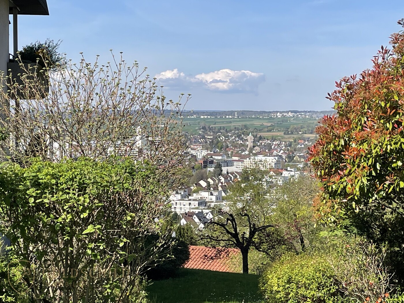 Ausblick