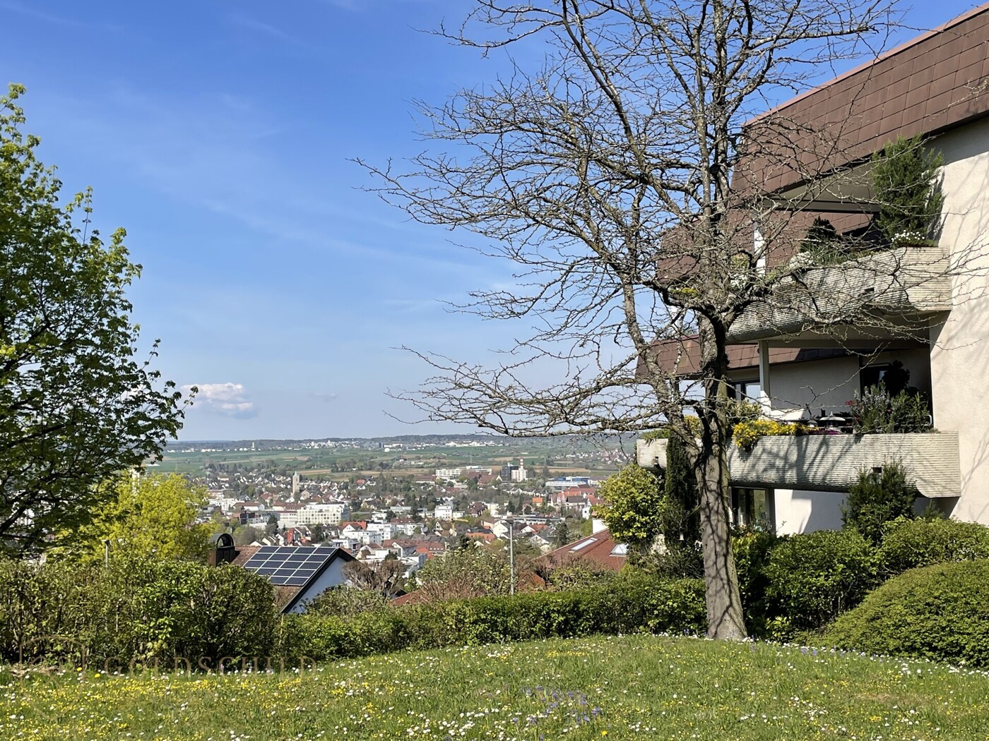 Ausblick