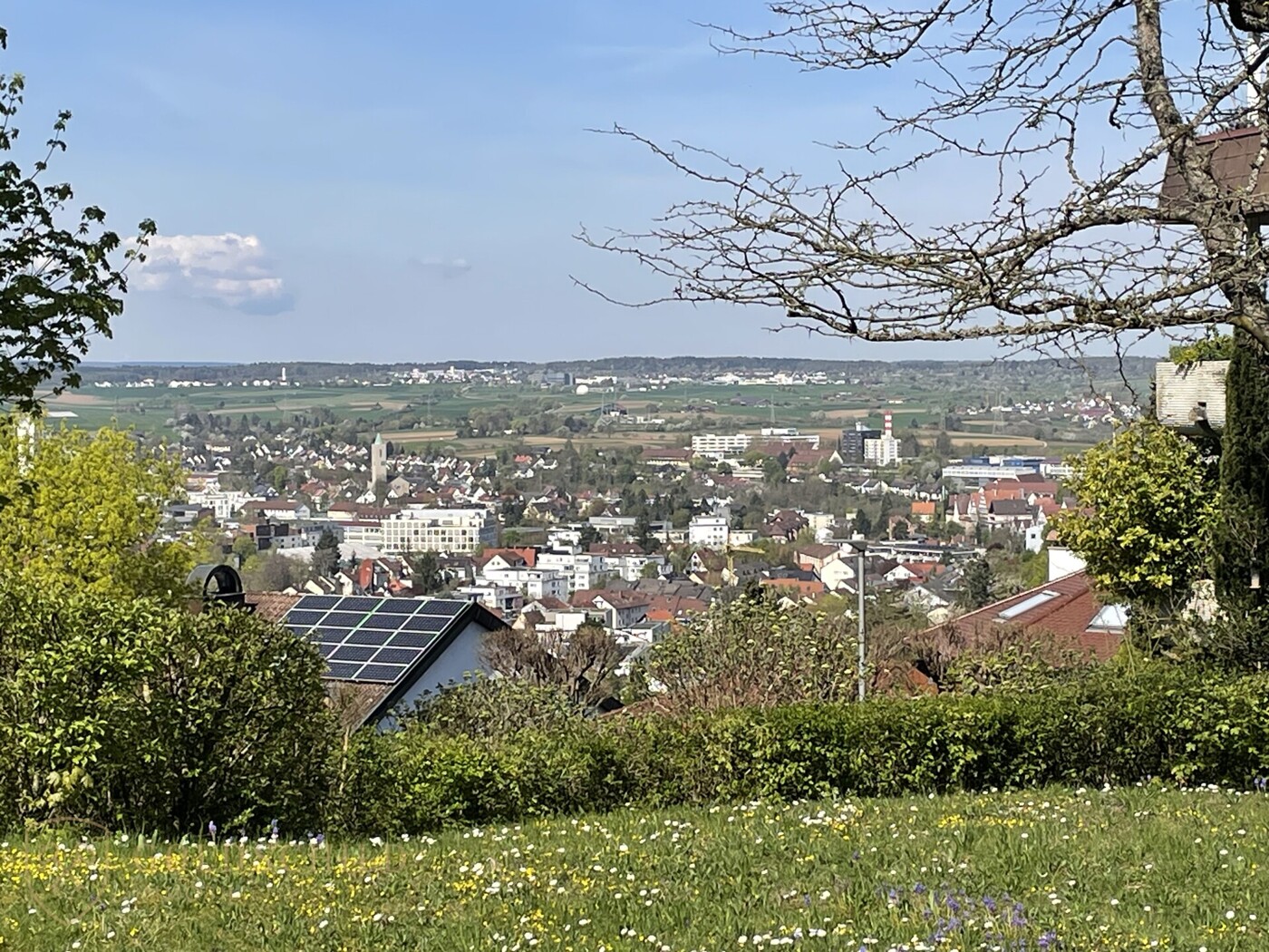 Ausblick