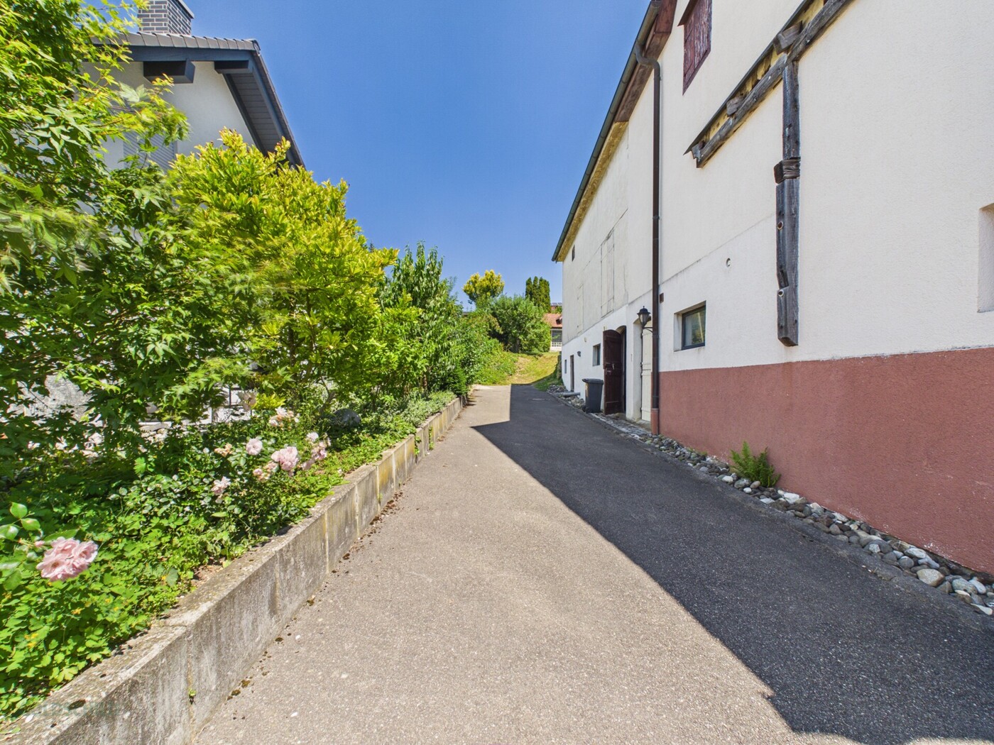 Einfamilienhaus Hochdorf Ansicht Hofeinfahrt