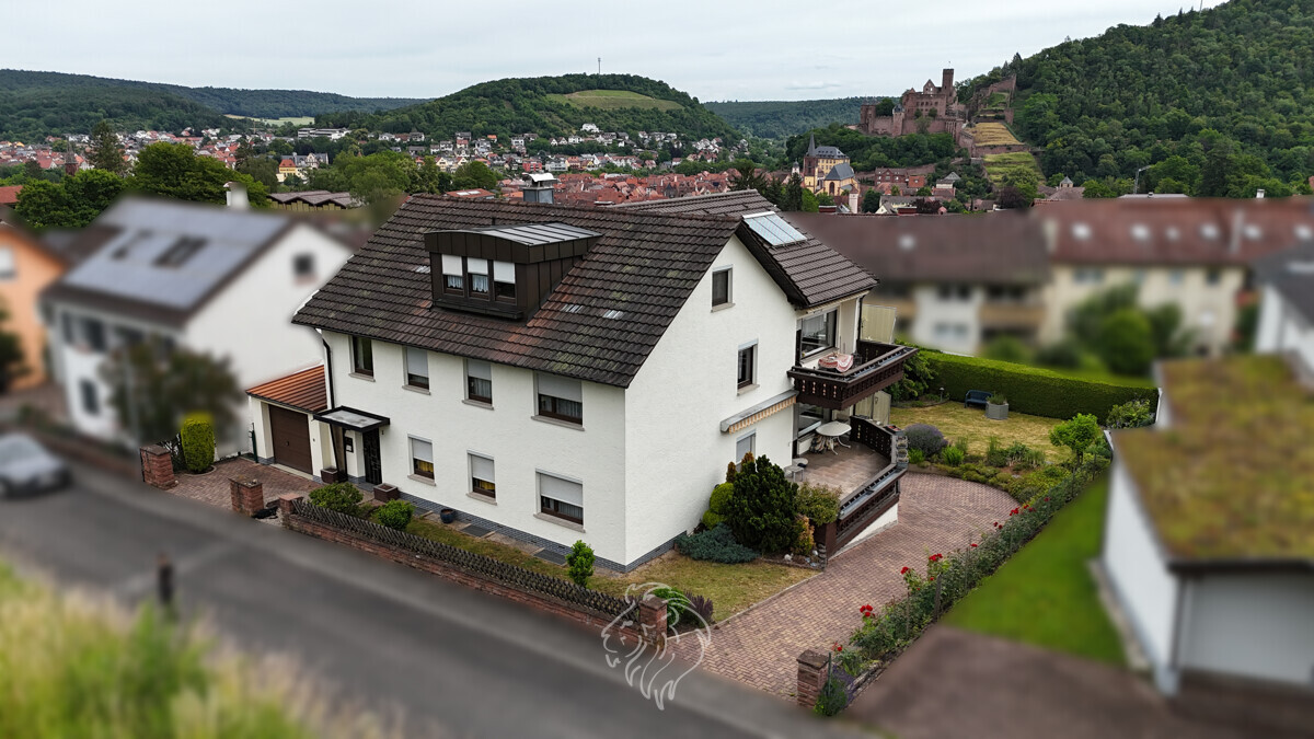Frontansicht 