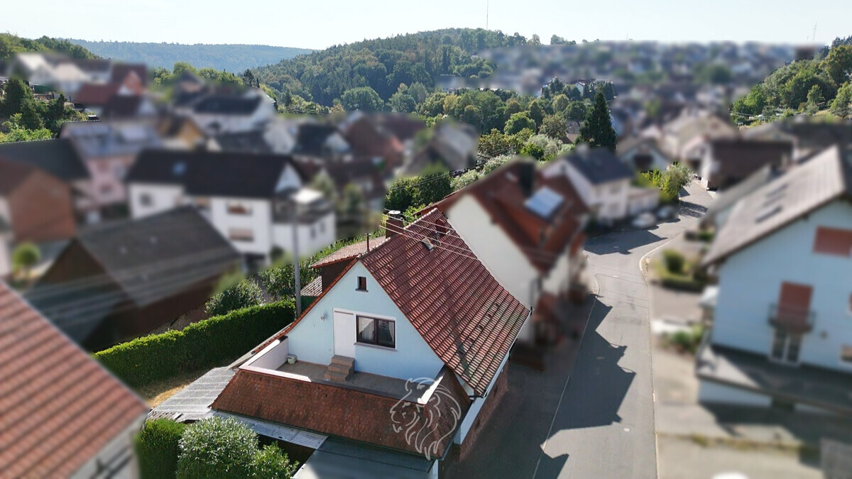 Seitenansicht 