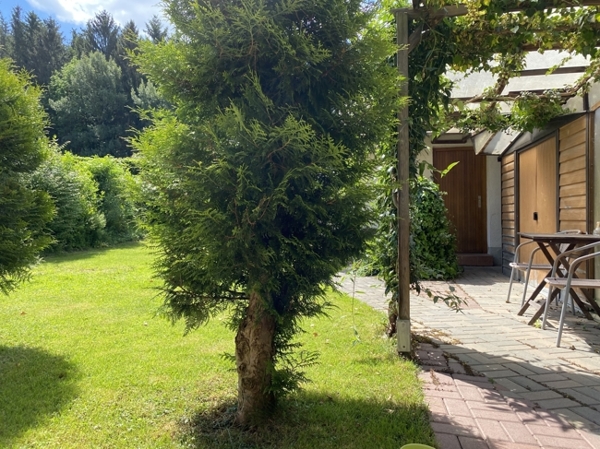 Doppelhaushälfte in Altomünster / Wollomoos zum Kauf: Blick auf Terasse, Garten und Garagentor