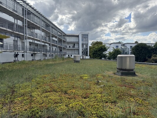 Blick vom Balkon