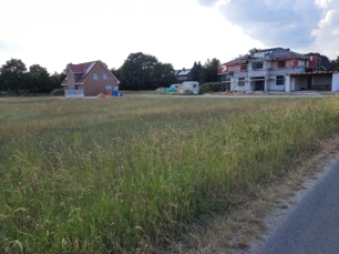 IMG-20230617-WA0001