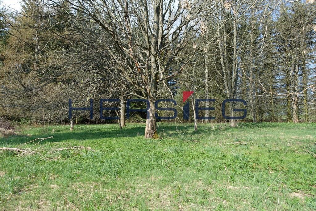 Grundstück