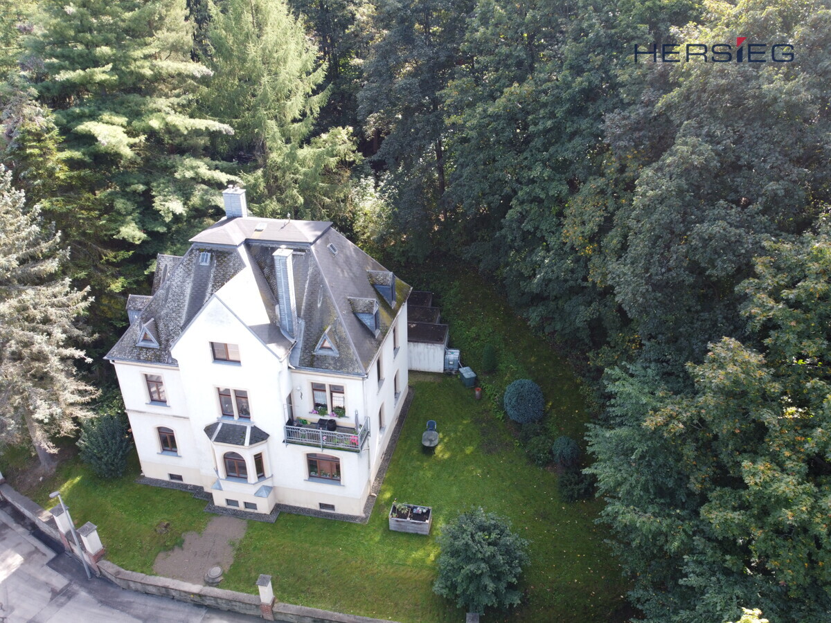 Draufsicht