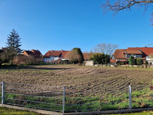 Baugrundstück Blick von Straße