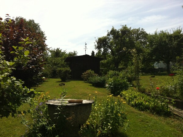 Garten vor Rodung