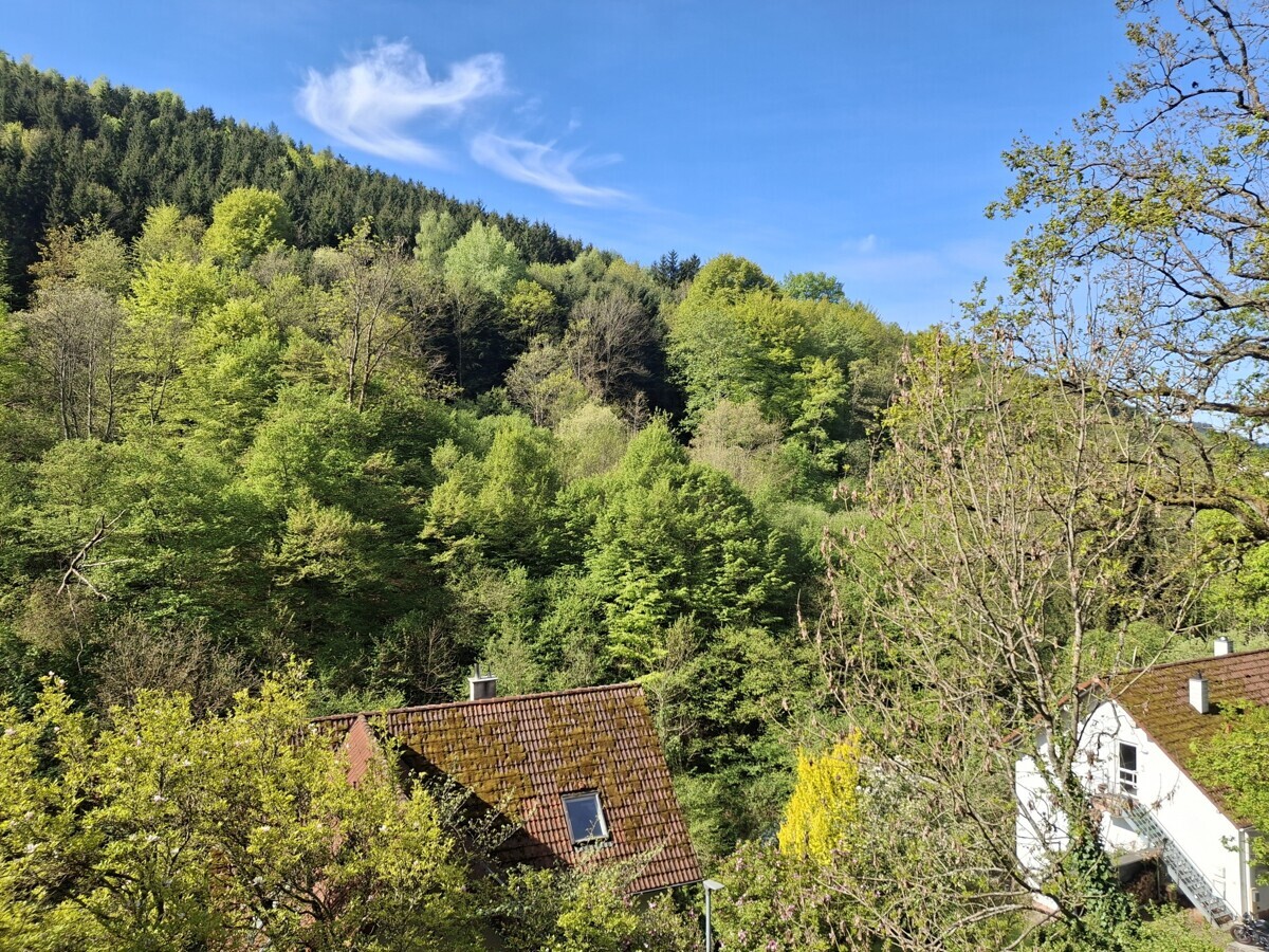 Ausblick Umgebung