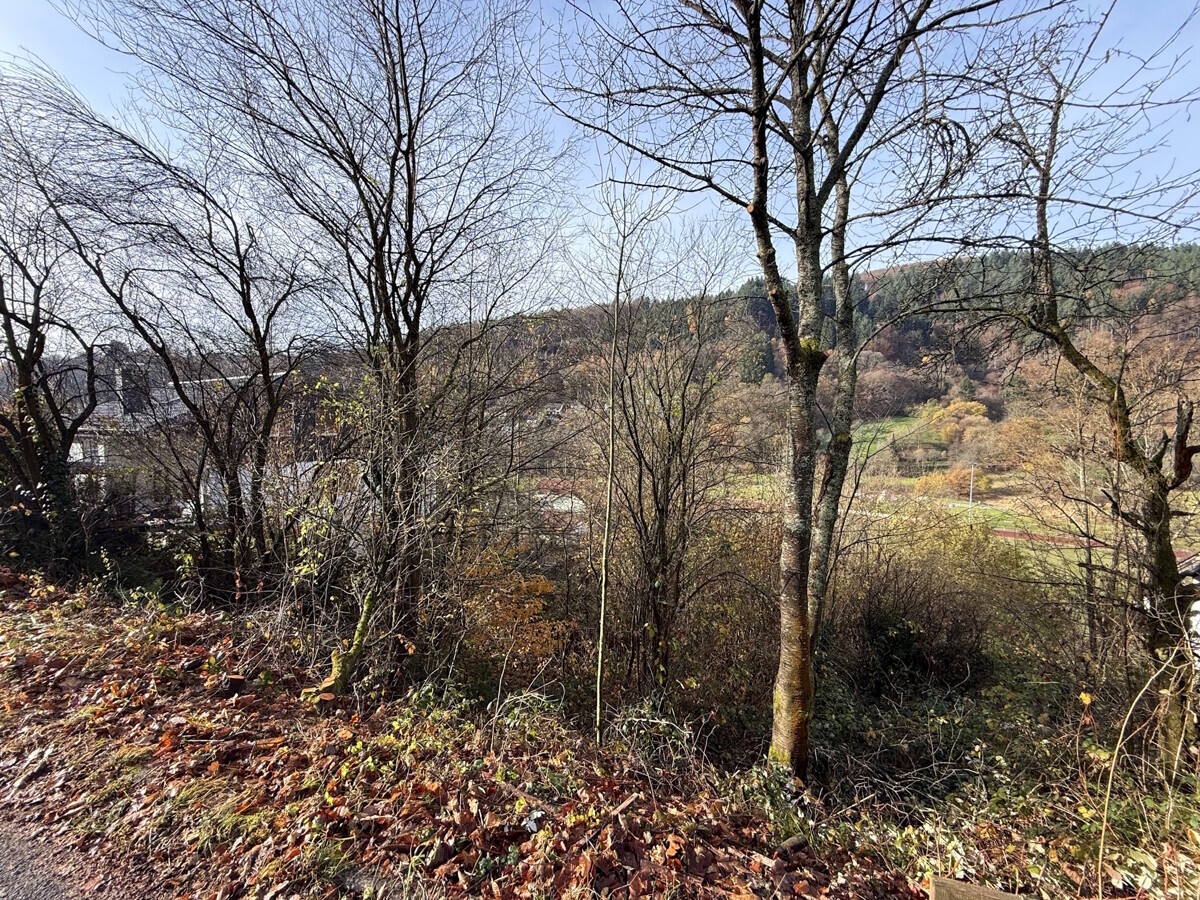 Grundstück