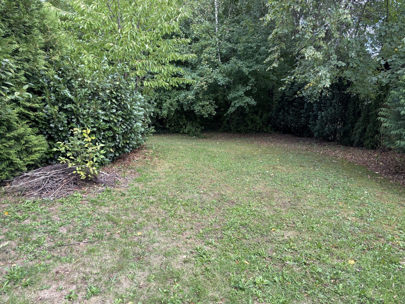 Gartenbereich