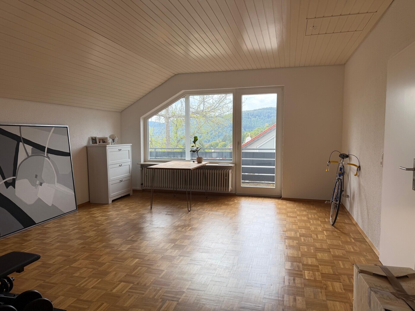 Zimmer DG