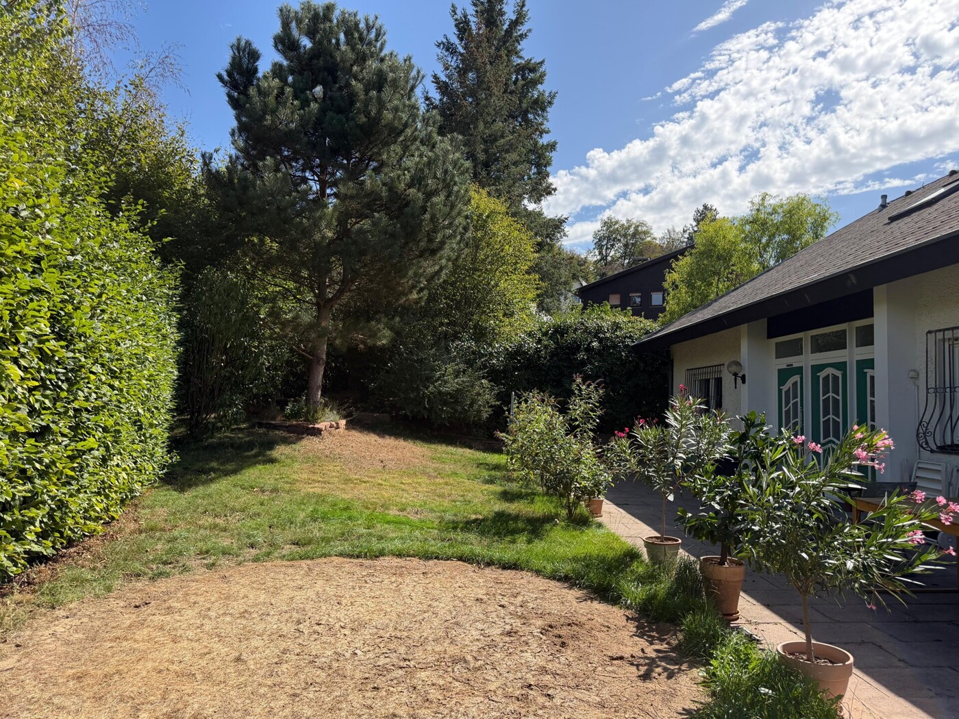 Gartenfläche