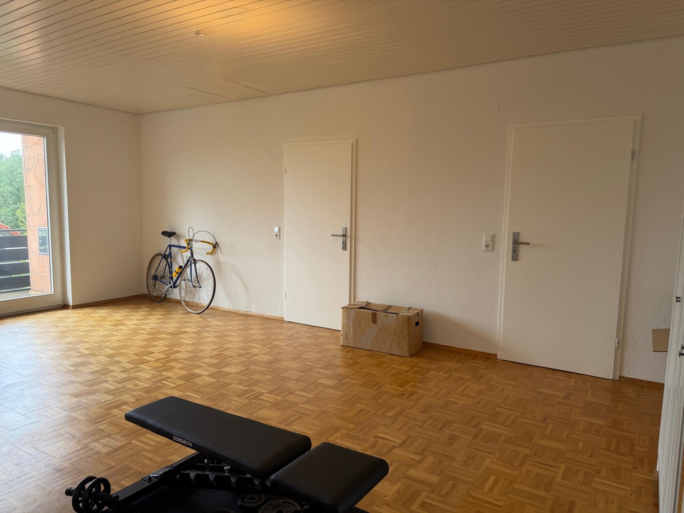 Zimmer DG