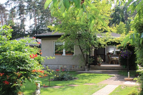 Rück-Ansicht vom Sommerhaus