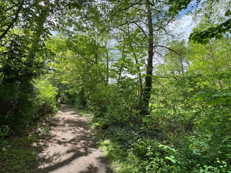 Uferweg