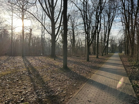 Umgebung