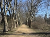 Park 1