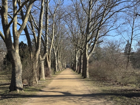 Park 1