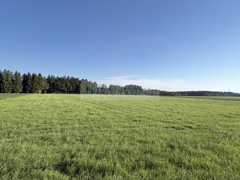 IMG_0951