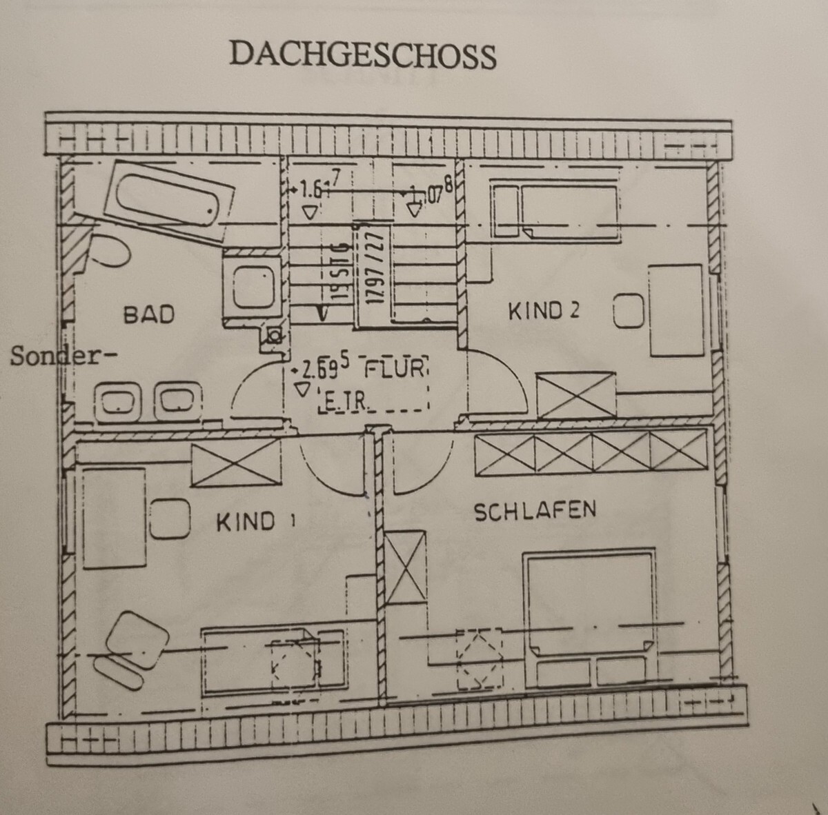 DG