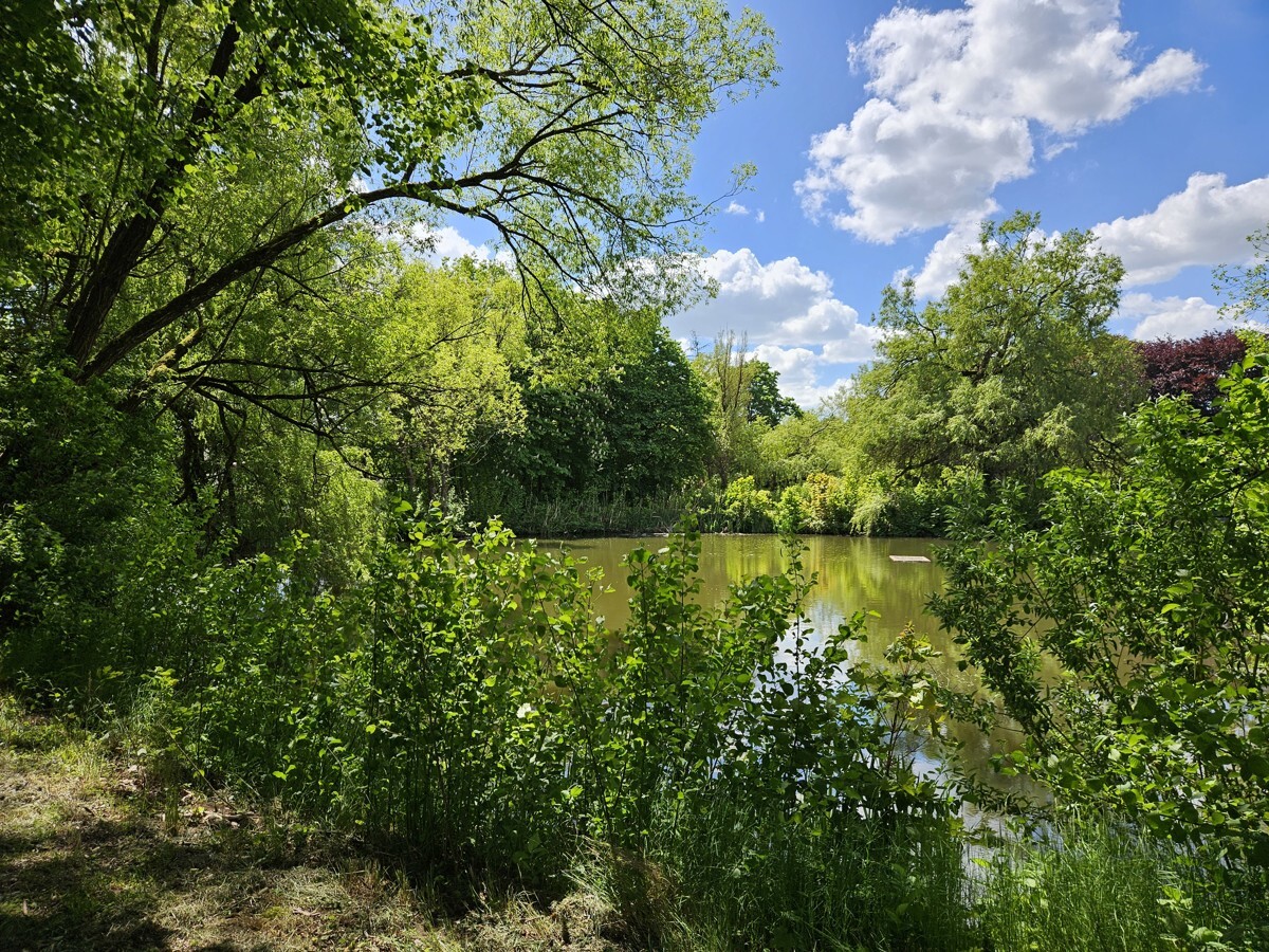 Blick vom GS auf Weiher_a