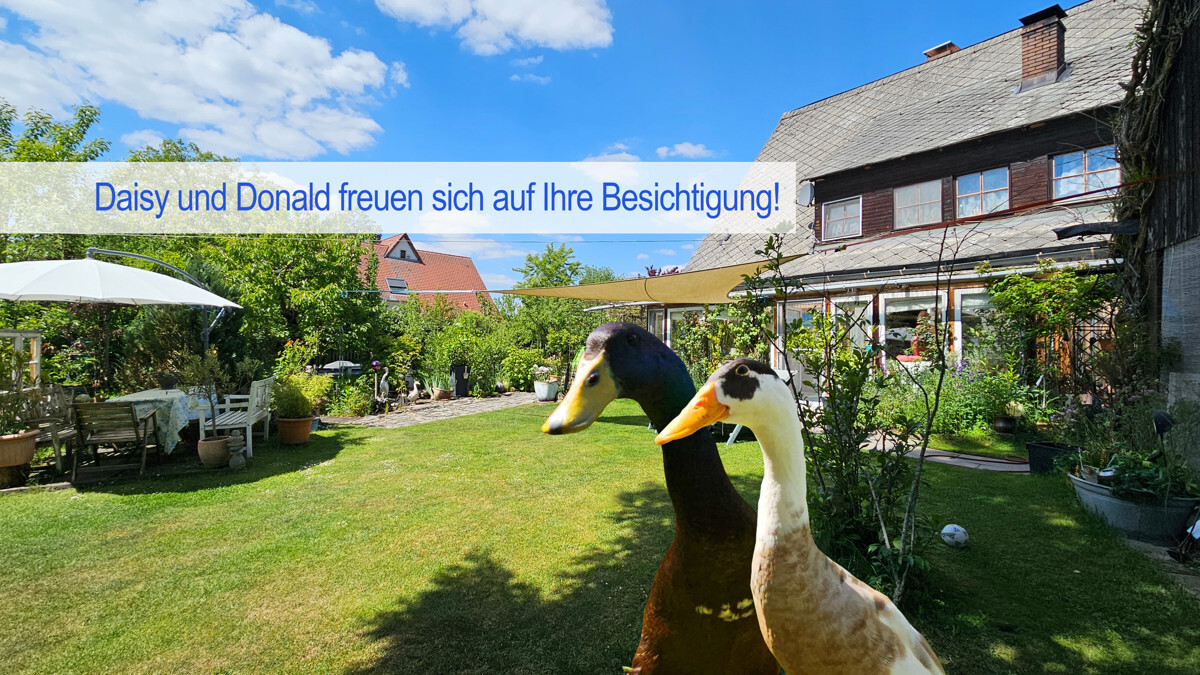Daisy & Donald
