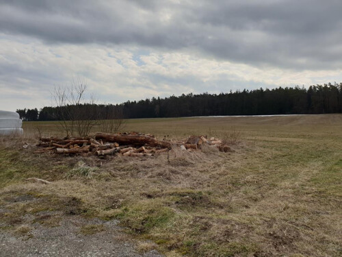 Wiese, Weidefläche, Acker