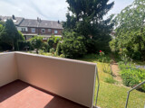 Blick in den eigenen Garten 