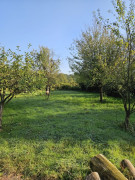 Obstwiese 1499