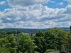 Blick