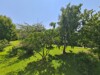 Blick vom Balkon