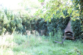Garten mit Kamingrill
