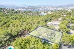 DJI_0568