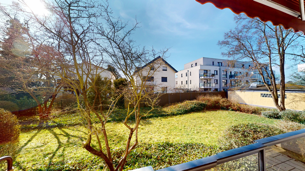 Blick ins Grüne